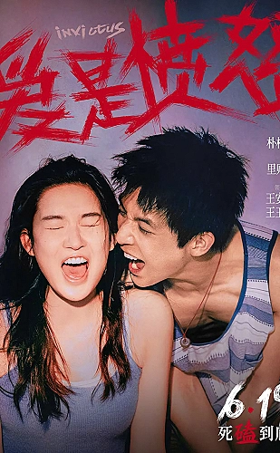 玫瑰的故事