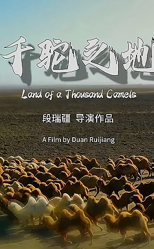 新老娘舅